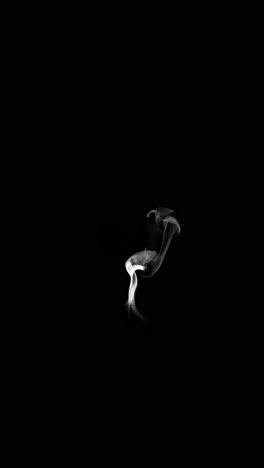 white smoke and vapor effects on black background
