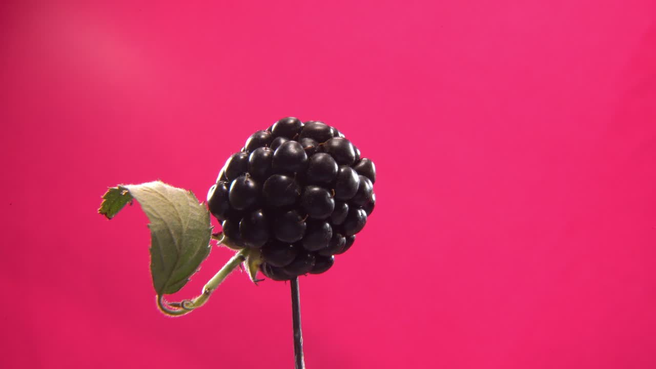 블랙베리 회전 후키아 화면에 루프로 크로마 키를 위해