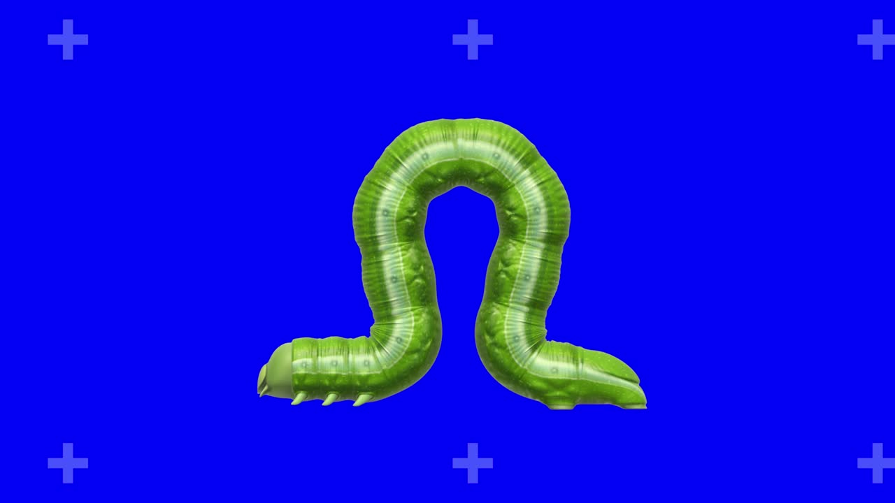 Caterpillar on blue, looping 3D animation