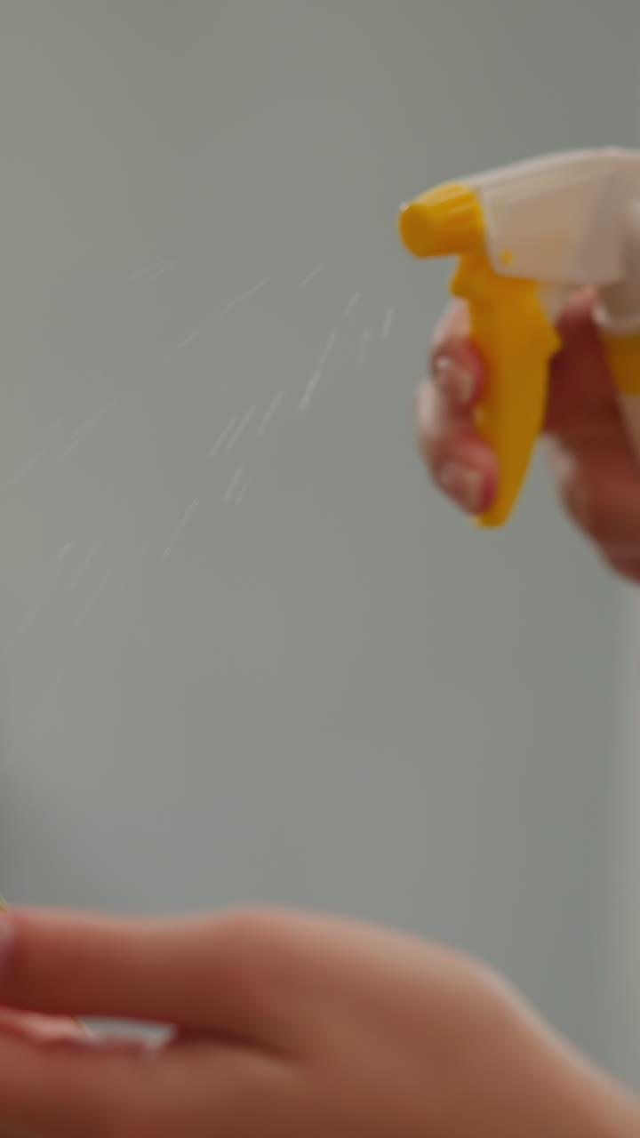 mujer rocia agua sobre las hojas de una planta de interior grande en casa closeup cámara lenta planta exótica en maceta en el interior doméstico cuidado y cultivo del jardín