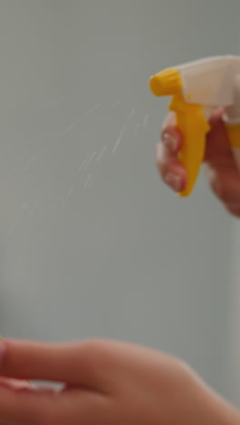 woman sprays water onto leaves of large houseplant at home closeup slow motion. exotic potted plant in domestic interior. garden care and cultivation