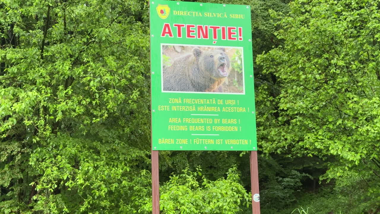 Road sign in Romania warning about bears presence and feeding prohibition