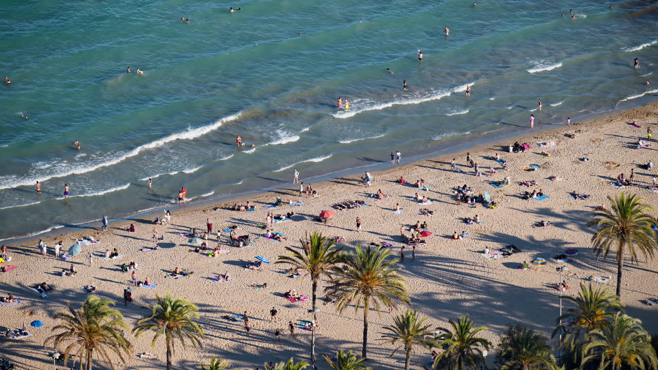A busy Mediterranean city beach with turquoise waves, palm trees and sunbathers spread across warm sand in Alicante, Spain