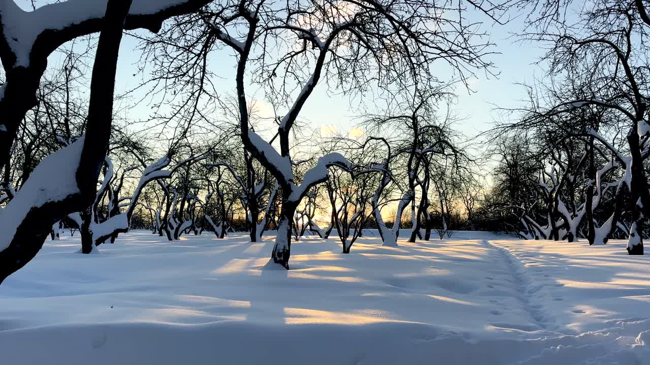 Det er mye snø og sol i parken.