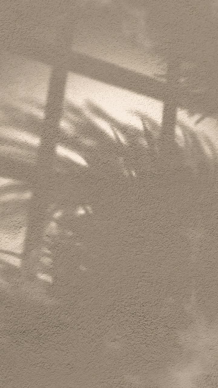 Moving Shadows of Palm Leaves and Window on Textured Wall