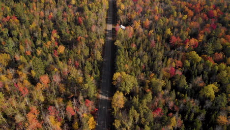 Vuelo-Aéreo-Sobre-Una-Carretera-Recta-A-Través-De-Coloridos-árboles-De-Otoño-En-La-Costa-Este