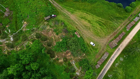 Tractor-trailer-stacking-harvested-tree-logs-in-the-forest---straight-down-aerial-view