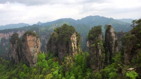 handheld shot of zhangjiajie karst pillars surrounded by lush green vegetation, china