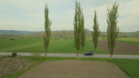 Aerial-side-shot-tracking-a-black-station-wagon-driving-on-tarmac-road-between-tall-trees-and-green-agricultural-fields