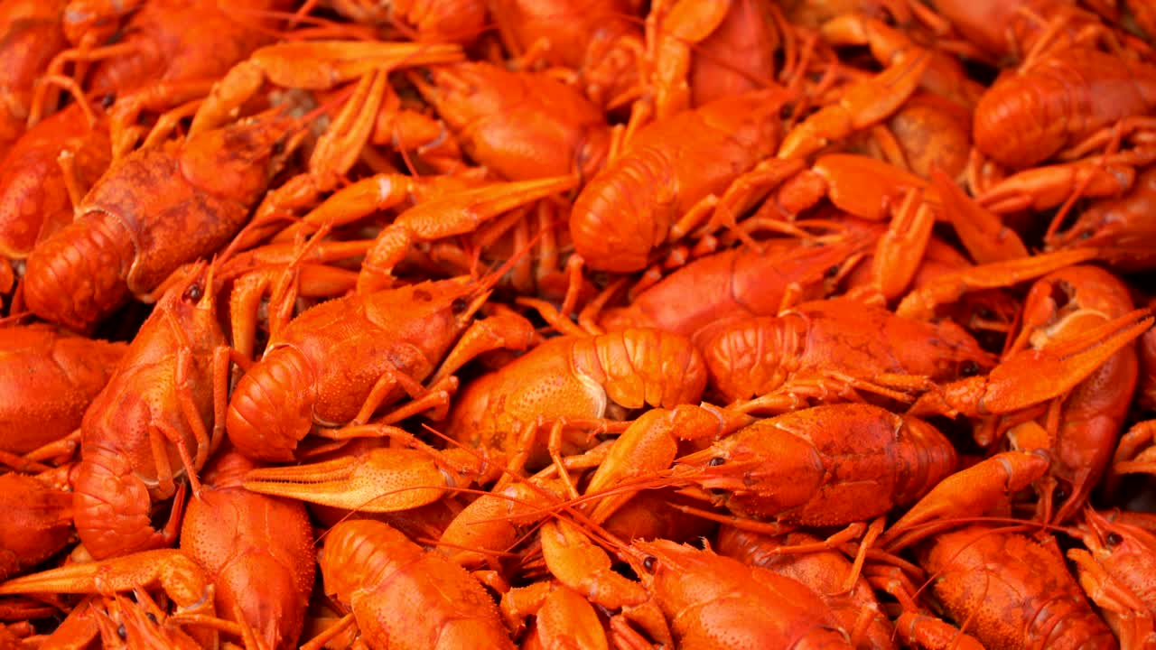 은 인 크라프시 클로즈업이 트레이에 회전하는 영상