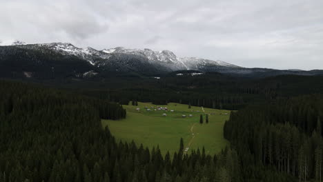 javornik mountain pasture in pokljuka alpine forest