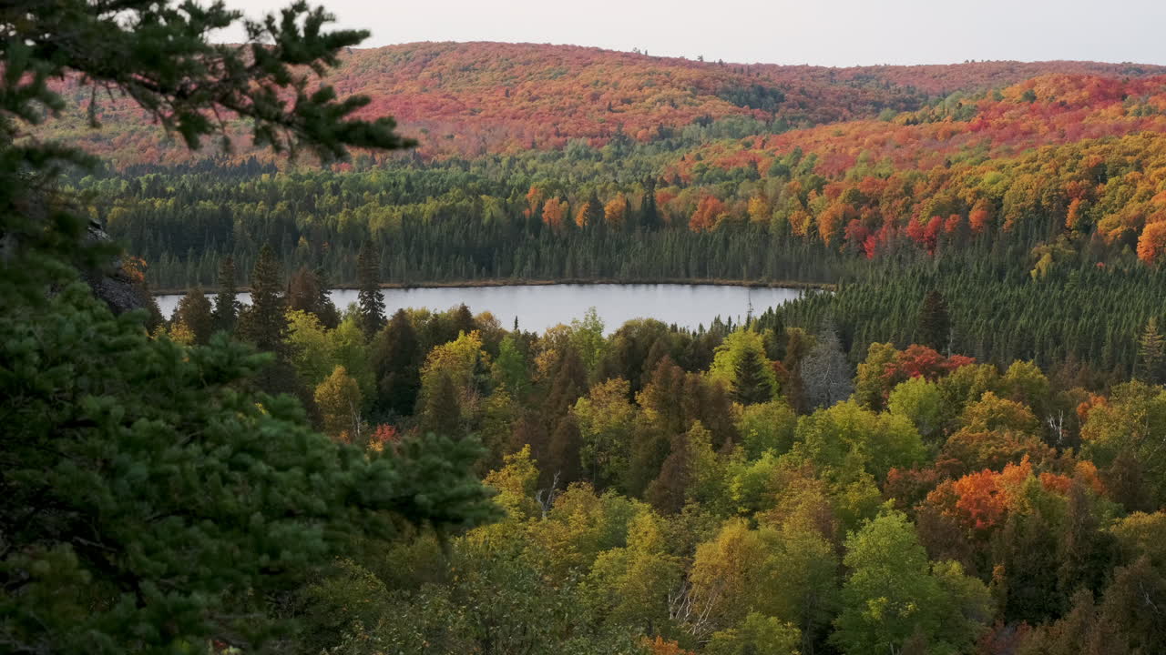cacerola lenta del lago con impresionantes colores de follaje de otoño en los árboles del bosque de otoño brillante