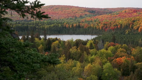 Slow-Pan-Of-Lake-With-Breathtaking-Fall-Foliage-Colors-On-Bright-Autumn-Forest-Trees