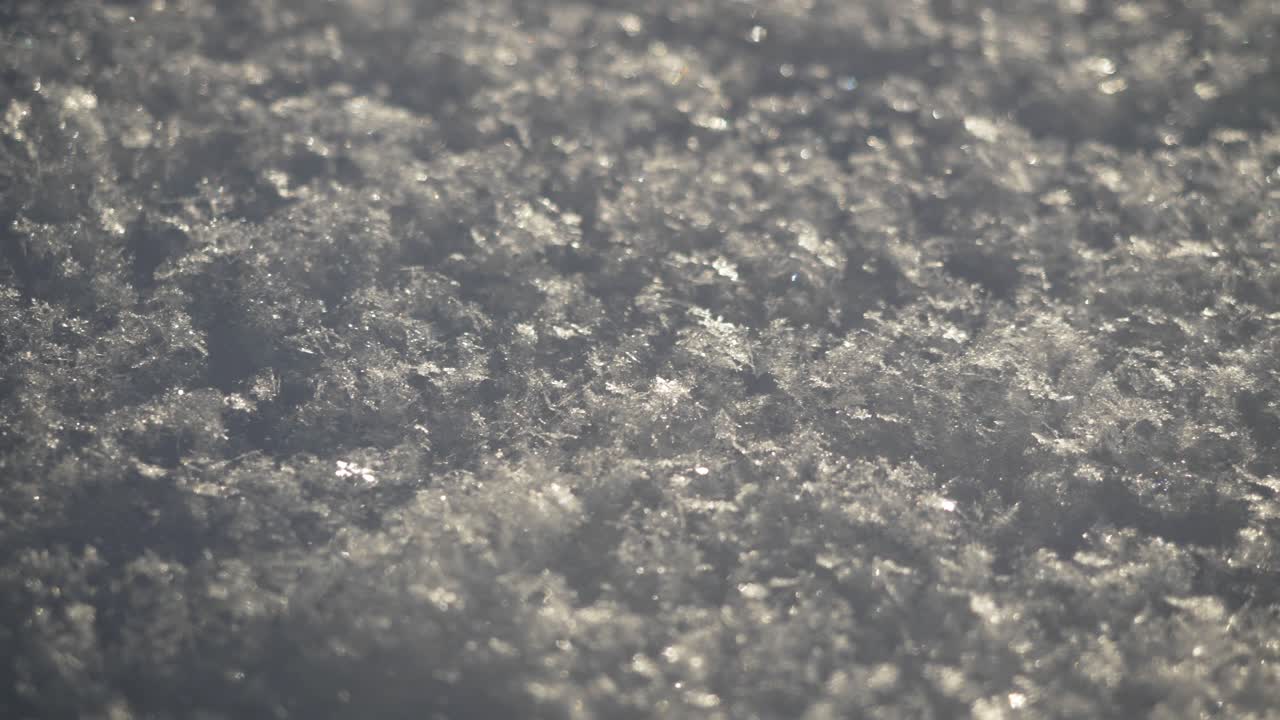 La neve copre il terreno in una zona tranquilla. I fiocchi brillano sotto la luce del mattino. Non ci sono persone in giro, solo il soffice manto di neve. L'atmosfera è luminosa e limpida.