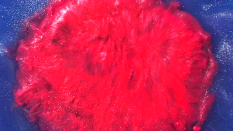 abstract colorful blue and red ink splatter background in liquid water with metallic particles flowing in slow motion