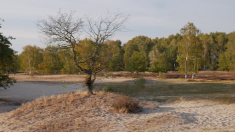 Panoramic-shot-from-left-to-right-in-nature-reserve-Boberger-Niederung-in-Hamburg,-Germany-at-day