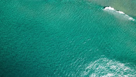 famous paradise main beach of noosa heads in sunshine coast, queensland, australia