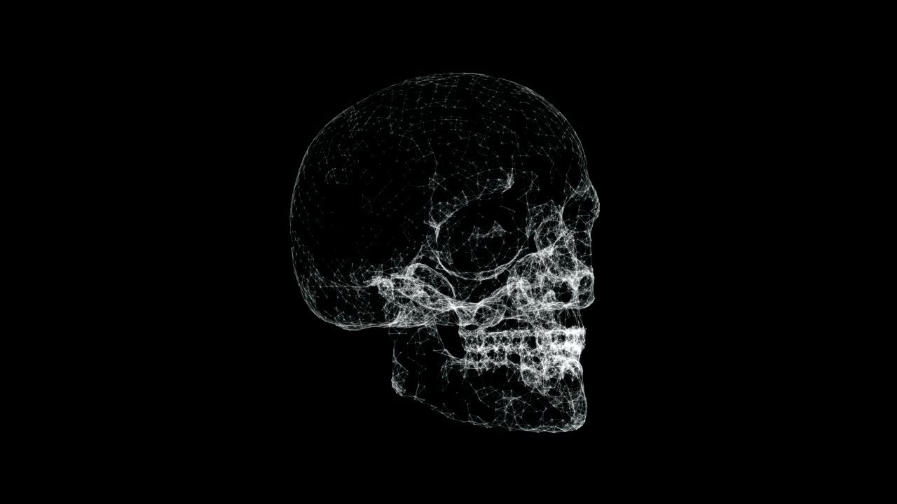 cráneo blanco 4k