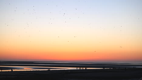 Imágenes-Cinematográficas-Del-Paisaje-De-La-Playa-Al-Atardecer