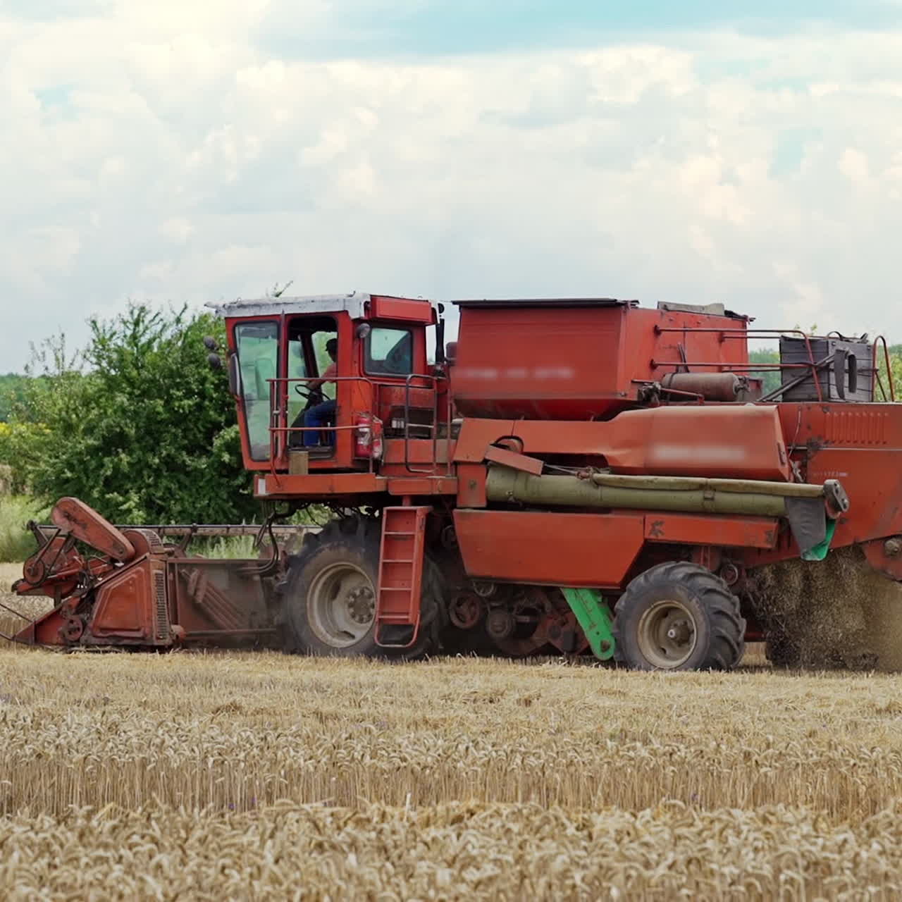 Combine harvester harvest ripe wheat on a farm