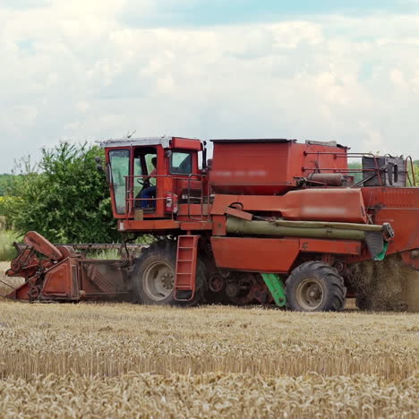 combine harvester harvest ripe wheat on a farm
