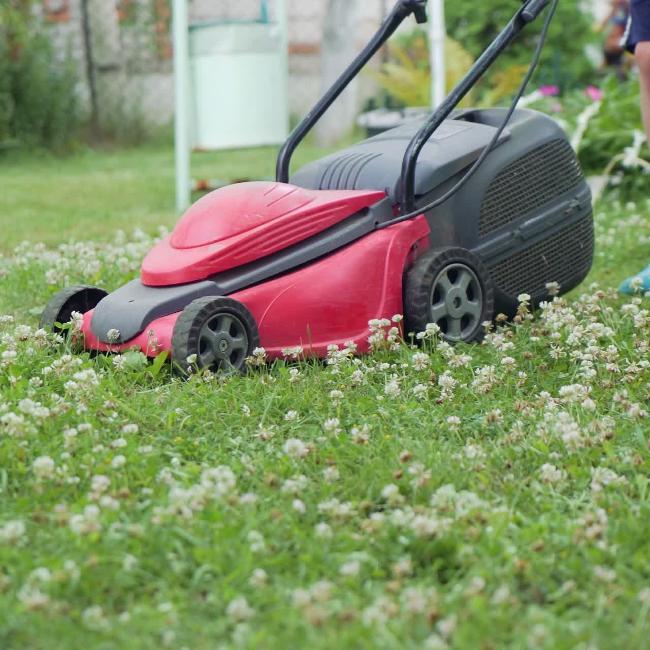 little boy mowing the lawn on a bright summer day, close-up