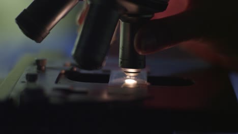 primer plano de la muestra bajo el microscopio 02