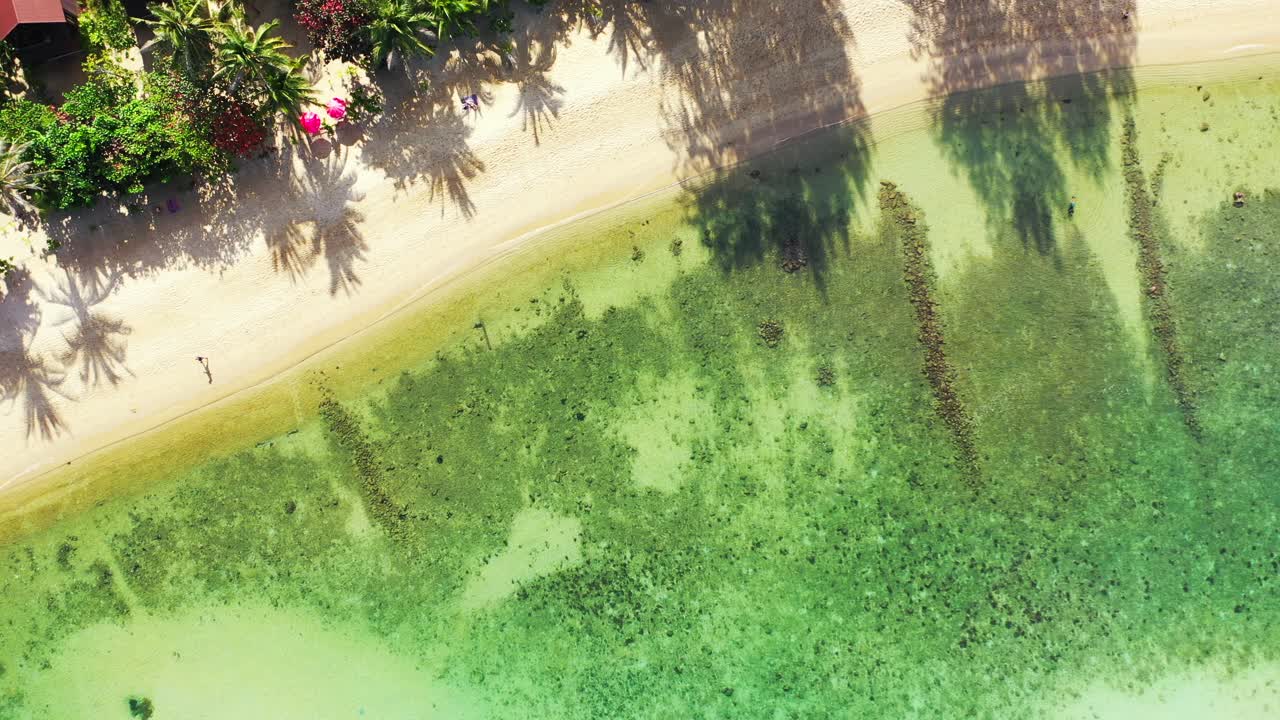 hermoso fondo marino de tranquila laguna turquesa que lava la playa de arena blanca en una isla tropical con palmeras y bungalows en myanmar