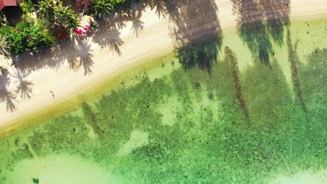 Beautiful-seabed-of-calm-turquoise-lagoon-washing-white-sandy-beach-on-tropical-island-with-palms-and-bungalows-in-Myanmar