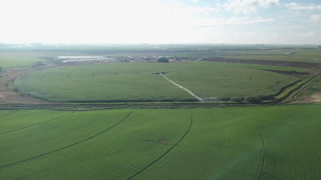 늦여름 동부 워싱턴 주의 컬럼비아 분지 프로젝트에서 센터 피벗 관개 시스템을 갖춘 옥수수 밭의 평화로운 조감도