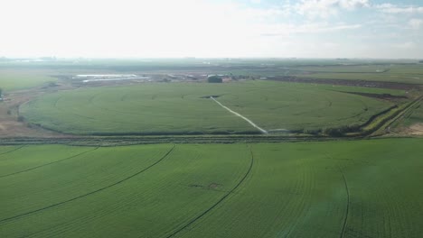 vista aérea pacífica de los campos de maíz con sistemas de riego de pivote central en el proyecto de la cuenca de columbia del estado de washington oriental a fines del verano