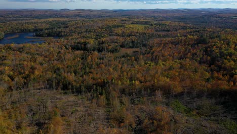 Revelación-Aérea-De-Un-Bosque-De-Finales-De-Otoño-Más-Allá-De-Una-Parcela-De-Tierra-Recién-Talada