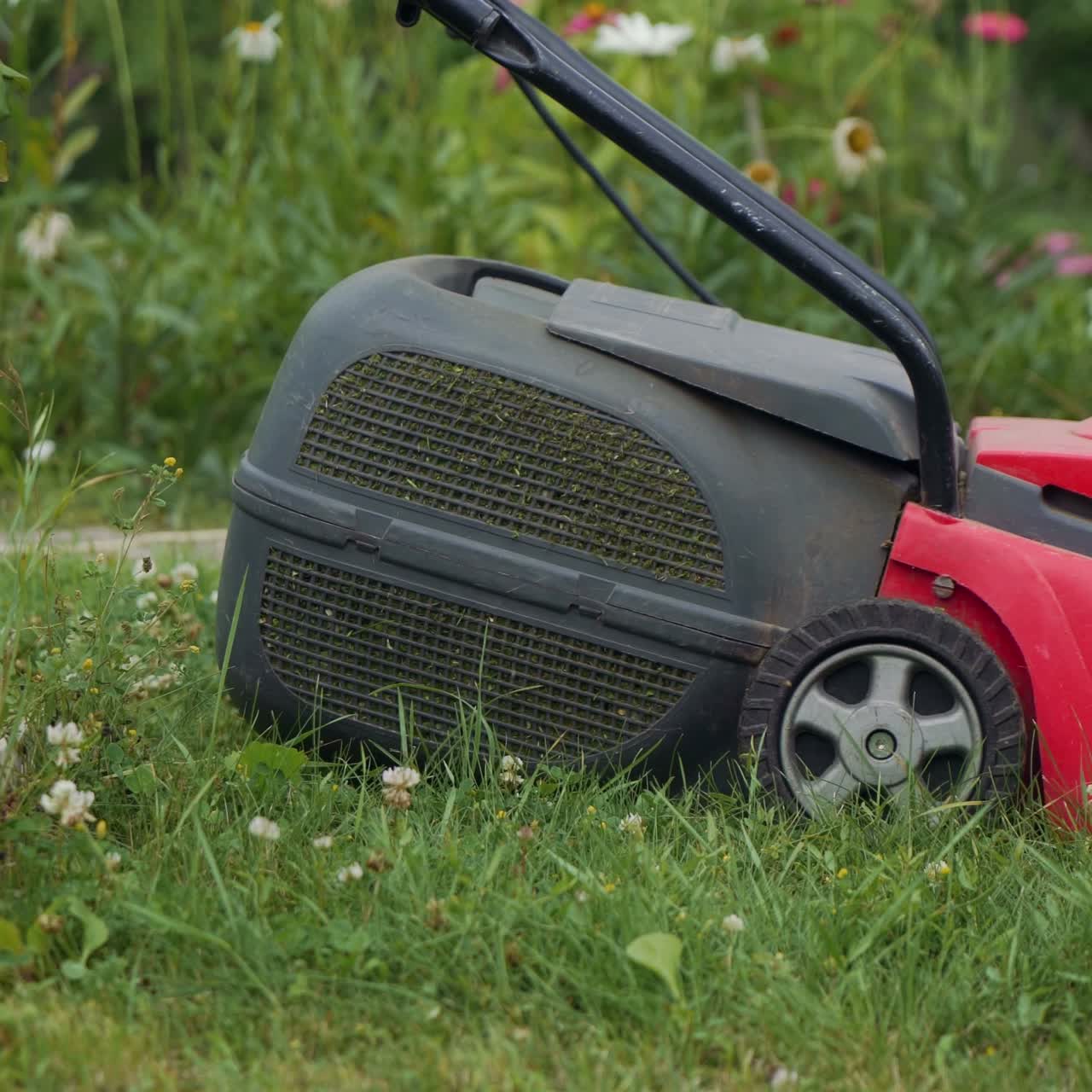 Close-up of mowing the lawn. Gardener mowing the grass with lawn mower
