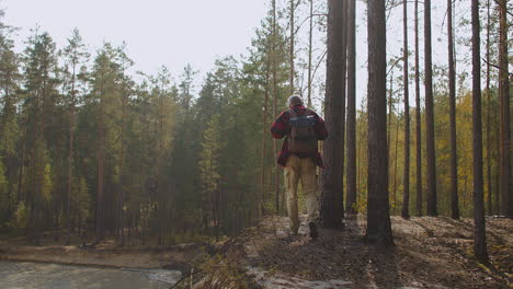 Alter-Mann-Mit-Rucksack-Geht-An-Einem-Herbsttag-Im-Sonnigen-Wald-Spazieren.-Rückansicht-Einer-Person,-Ruhiges-Wandern-Und-Tourismus