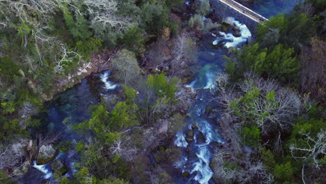 bosque, río y un puente desde arriba, disparos de drones