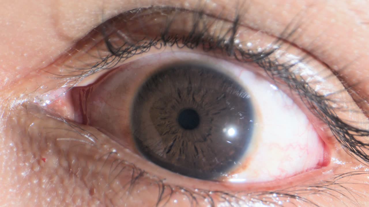인간의 눈이 열리고 닫히는 극단적 인 근접 시각