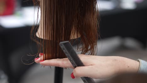 haircutting practice on a mannequin with wet hair
