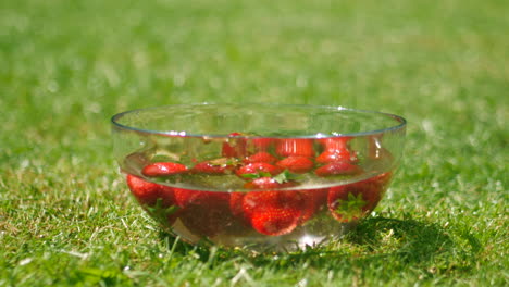 spinning strawberries in water in the summer