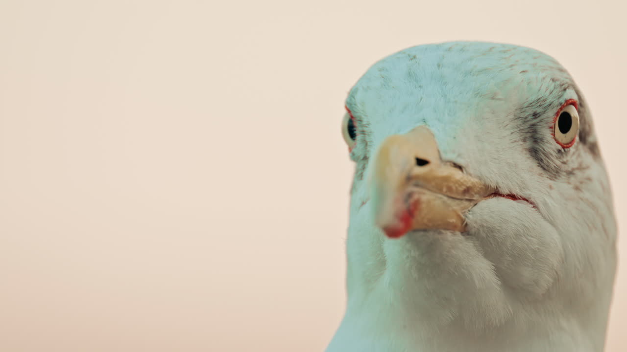 Abstract reflection of colorful boat hulls rippling across the surface of the water, creating a painterly effect