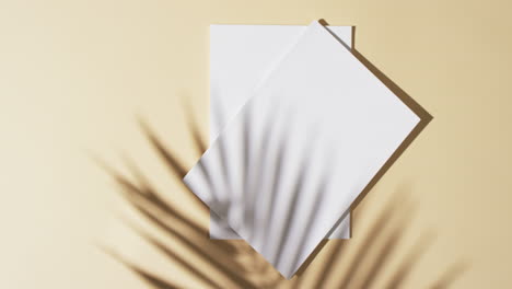 video of shadow of plant over books with blank white pages and copy space on yellow background