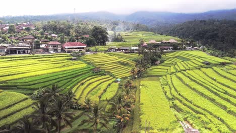 Rice-terracing-nestled-in-the-covered-volcano-hillside,-Bali,-Indonesia