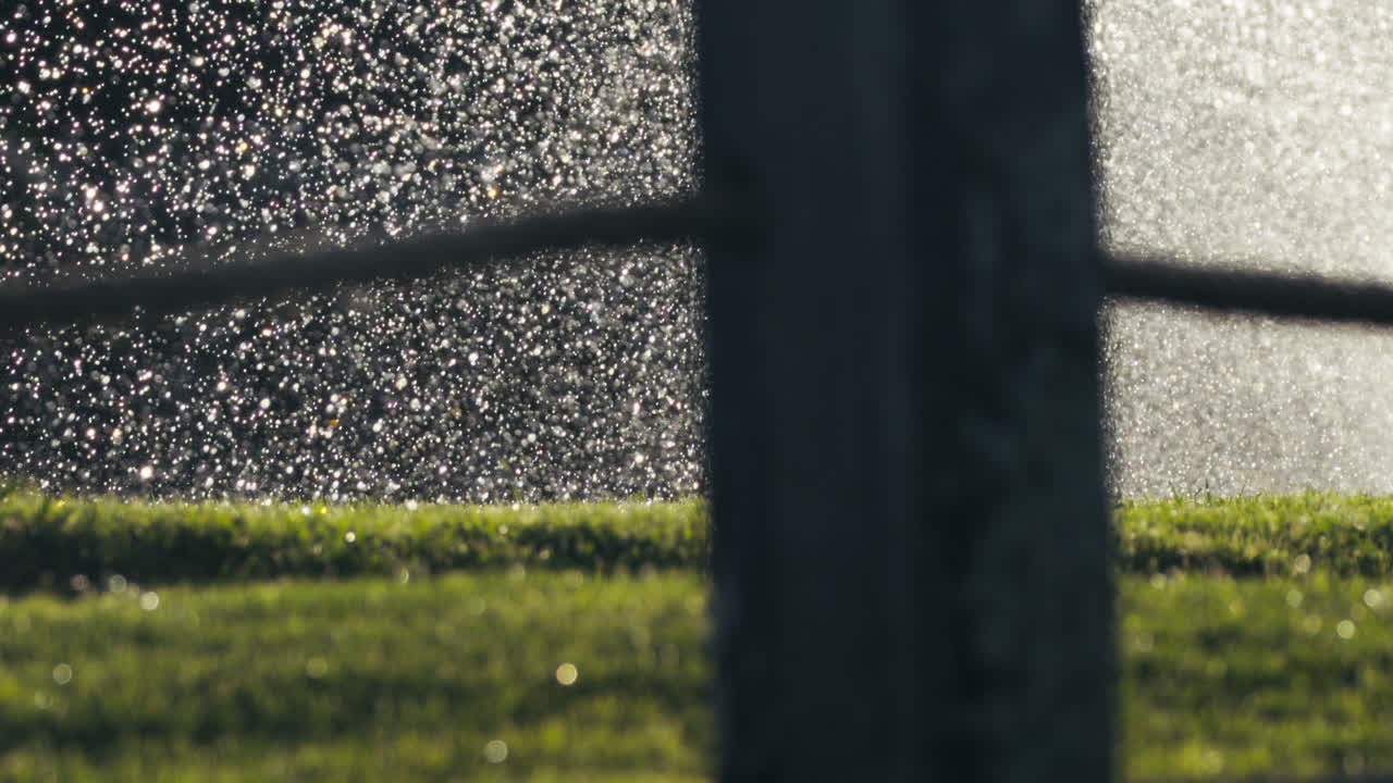 Sprinkler sprays water across sunny lawn in slow motion, soft shimmer and shadow play
