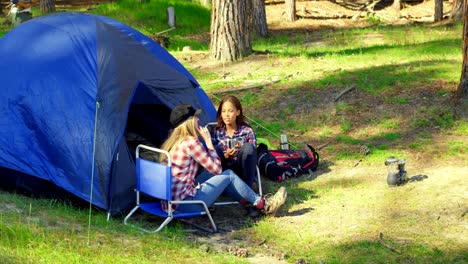 excursionistas femeninas interactuando entre sí cerca de la tienda en el bosque 4k
