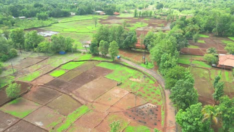 aerial view of rural agricultural fields and village landscape