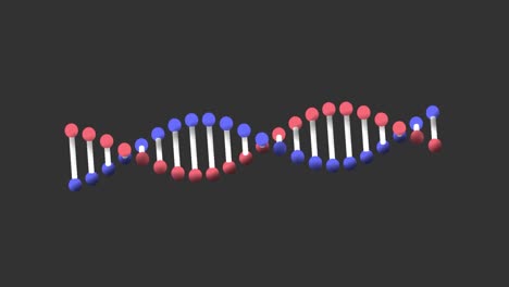 Animation-of-a-digital-3d-red,-blue-and-white-double-helix-DNA-