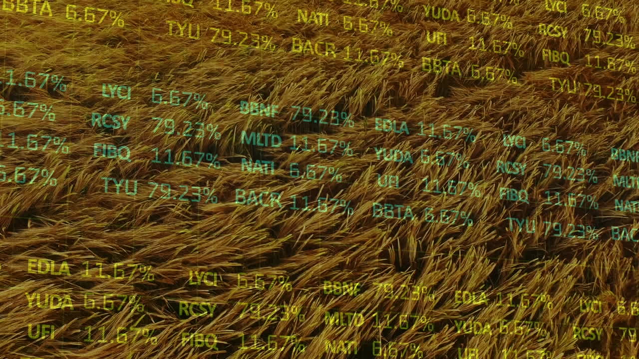 Animation der Finanzdatenverarbeitung über einem Agrarfeld