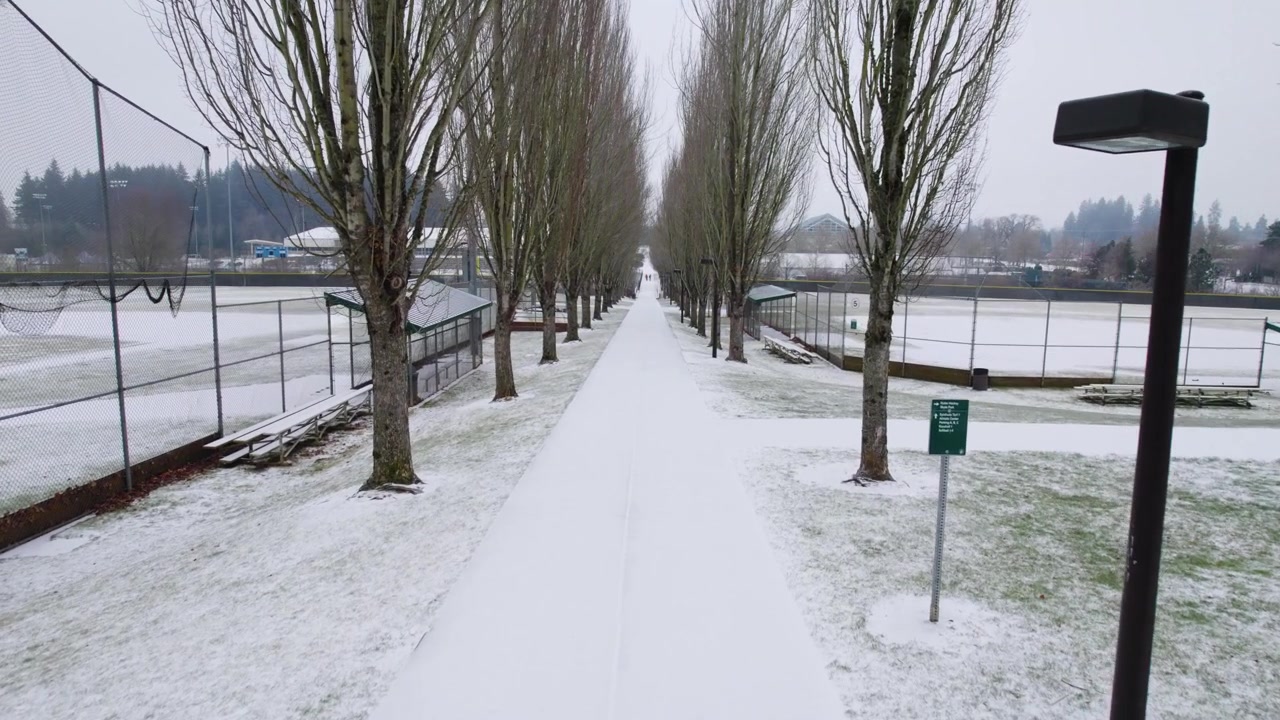 Ripresa con drone che scivola dolcemente lungo un lungo sentiero invernale, fiancheggiato da alberi spogli in un parco.