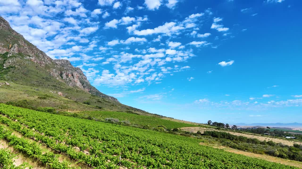 Sweeping views of verdant vineyards under a perfect blue sky with soft, drifting clouds