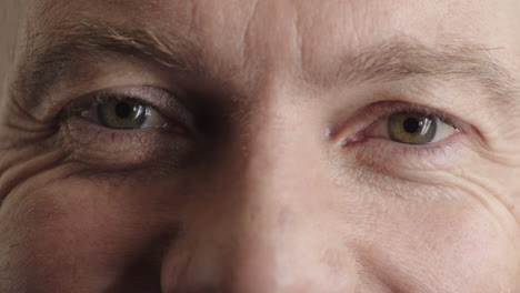 close up caucasian man green eyes looking happy expression