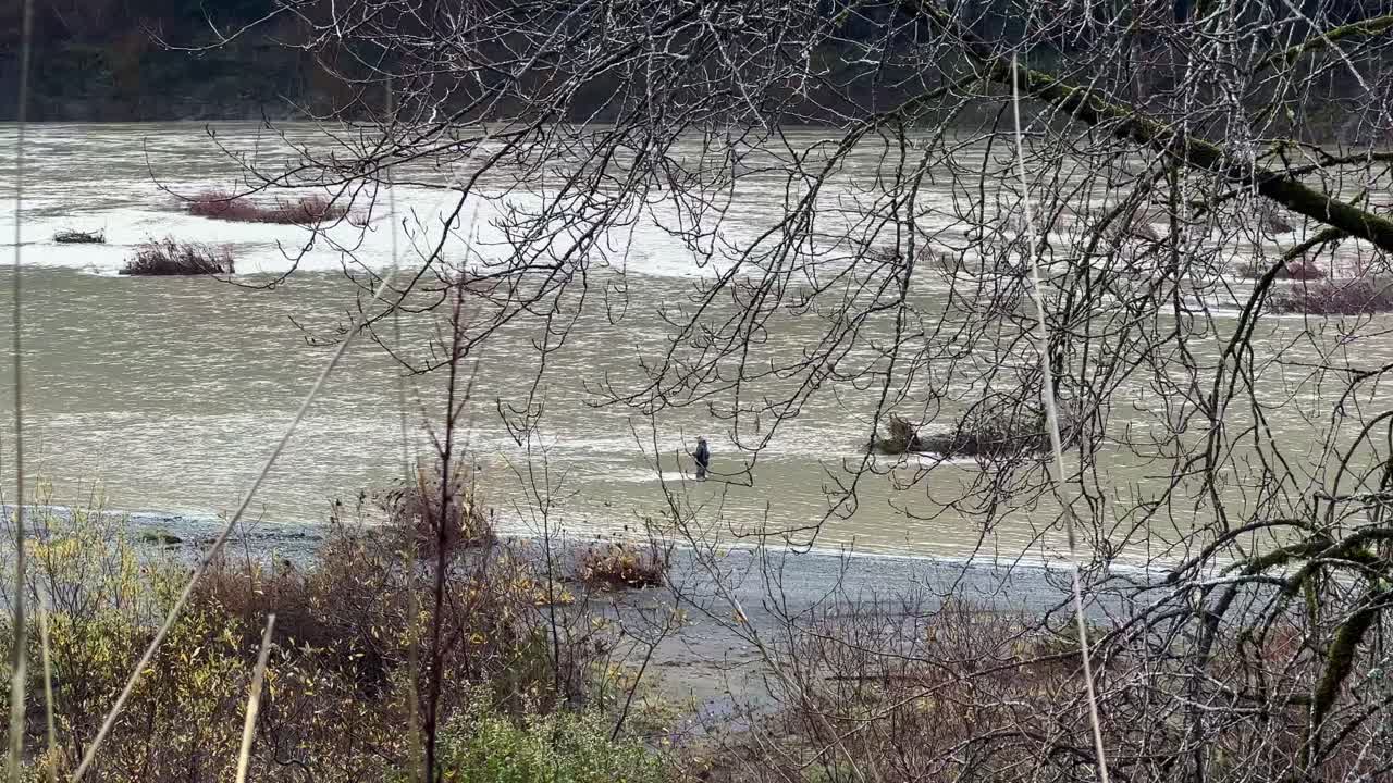Handheld telephoto panning shot of a fisherman wading in the Eel River at Humboldt Redwoods State Park, California. 4K